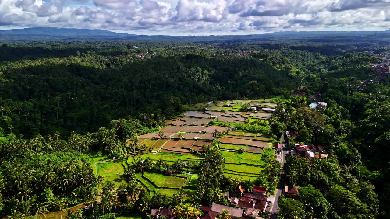 Lush terraced rice paddies weave through vibrant green trees in scenic Ubud, Bali