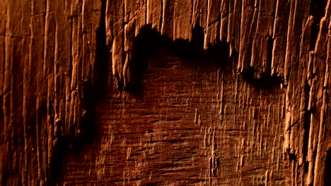 dark vintage wood texture. close up view of old grunge dark wooden surface. selective focus