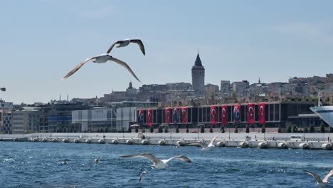 istanbul cityscape view from the bosphorus with galata tower in the background
