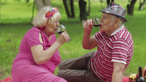 picnic familiar de fin de semana en el parque. una pareja de ancianos se sientan en una manta y beben vino. haciendo un beso. amor
