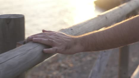 the hand of a man caresses and sinete the touch of a trunk as a railing during a sunset on the coast, in the golden background of the image you can see the sea