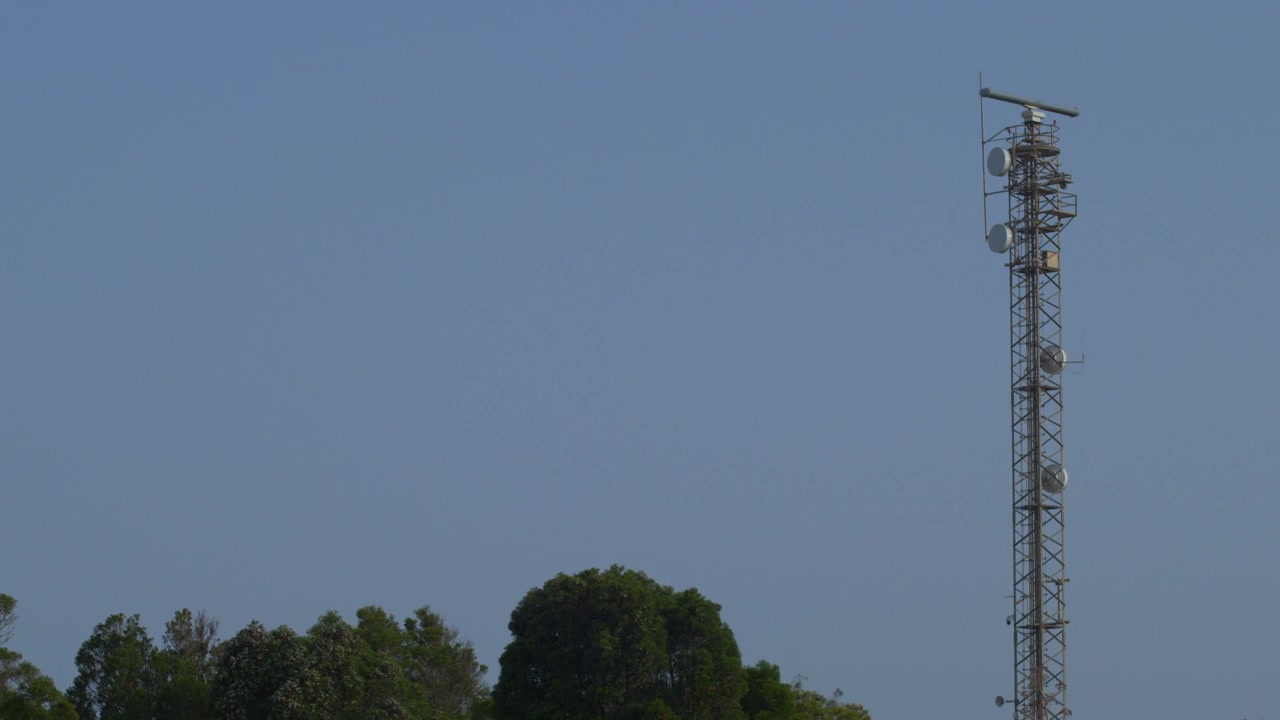 Una torre di comunicazione con un radar marittimo che gira sopra cime di alberi lussureggianti. Presenta ampio spazio per il testo, perfetto per progetti di tecnologia e natura