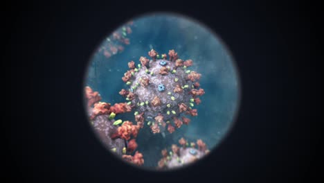 microspcopic view of the coronavirus as seen through a microscope