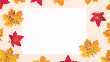 autumn stop motion animation of moving leaves around white paper for text. stop motion
