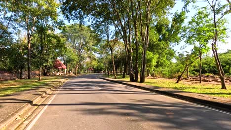 peaceful road surrounded by lush greenery