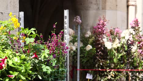 vibrant flowers in a charming urban setting