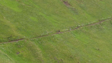 Shoot-from-far-of-group-of-hikers-walking-down-a-trail-on-a-green-hill