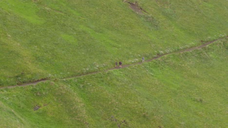 disparar desde lejos de un grupo de excursionistas caminando por un sendero en una colina verde