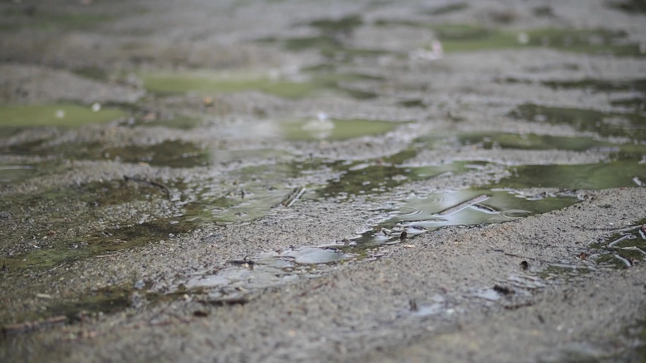 Gotas de lluvia cayendo en charcos sobre una superficie de asfalto mojada