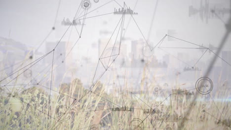 network of connections and data processing animation over cityscape with tall grass