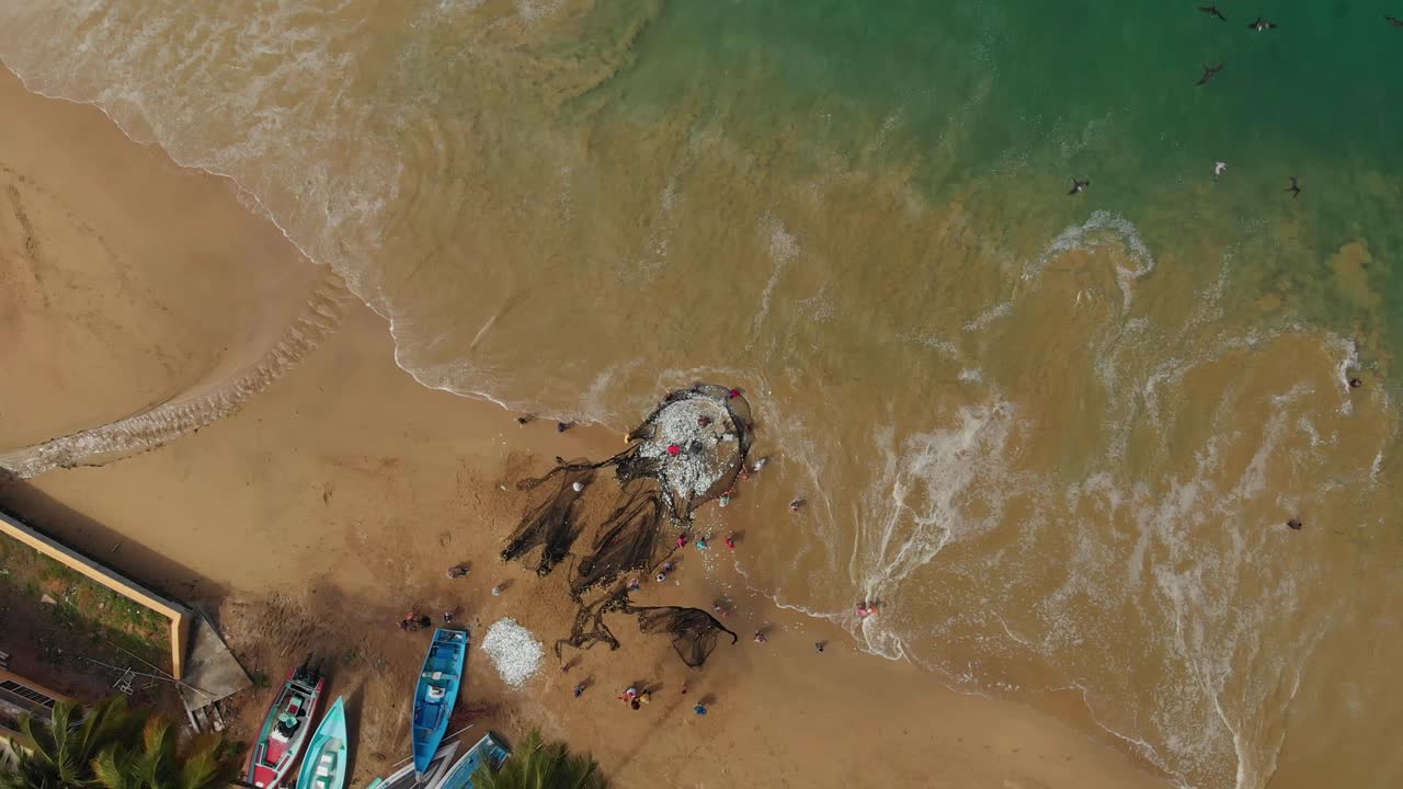 해안선에서 부서지는 파도와 음식을 위해 돌고 있는 새들과 함께 해변에서 저인망 어획량의 서사시적인 공중 드론