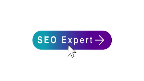 search and user icons