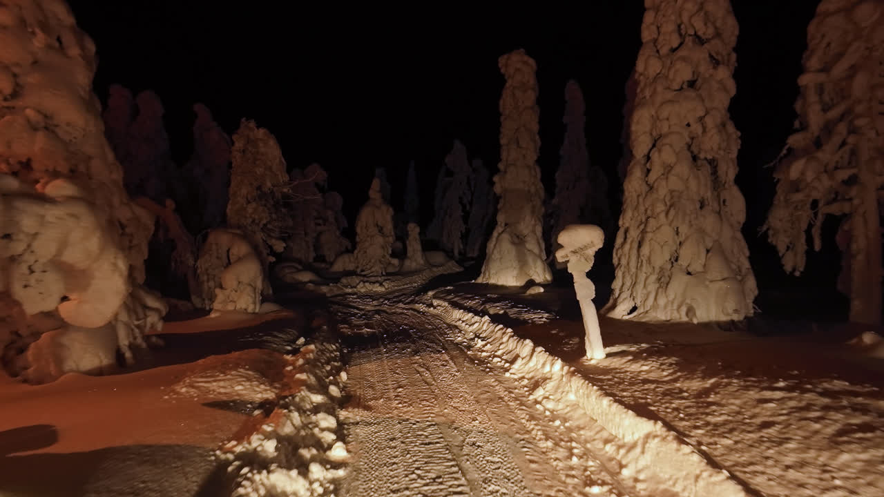 vista aérea volando a lo largo de un sendero en medio de árboles cubiertos de nieve, noche en laplandia