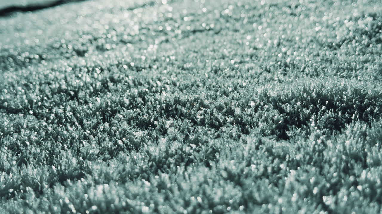 얼어 붙은 잔디