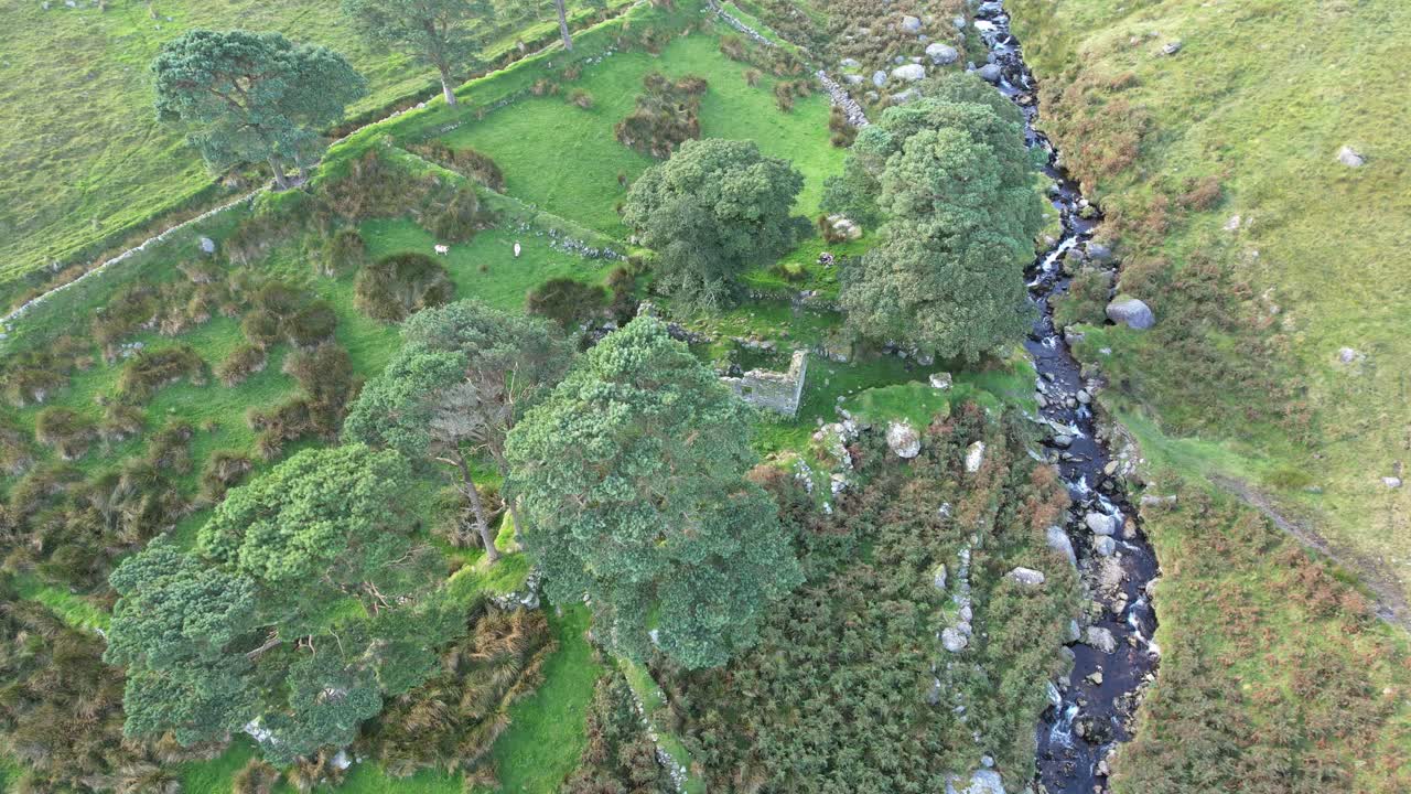 코메라그 산맥 워터포드 아일랜드 네드 커런은 여름 저녁에 버려진 고향