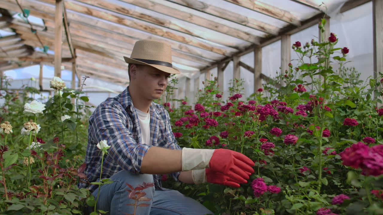 Young man shopping for decorative plants on a sunny floristic greenhouse market. Home and Garden concept.