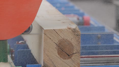 work of the sawmill in close-up. process of machining logs in equipment sawmill machine saw saws the tree trunk on the plank boards.