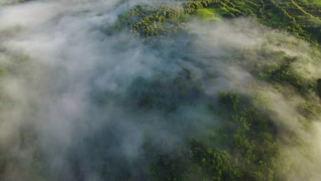 vista aérea superior de drones del bosque tropical verde y altas montañas cubiertas por nubes bajas condensadas