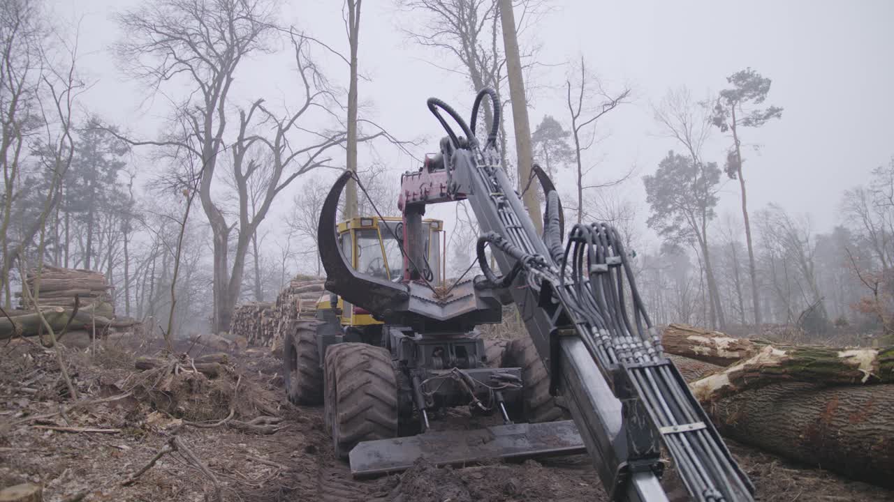 Shot of a tree excavator in the middle of a destroyed forest.
