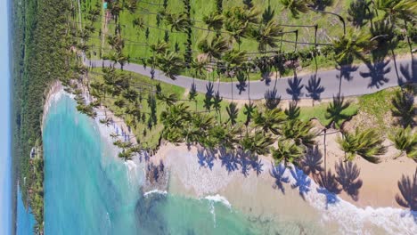 vertical - aerial view of la entrada beach in maria trinidad sanchez province, dominican republic, pullback shot