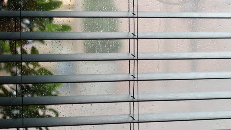 primer plano de una ventana con persianas, con gotas de lluvia en el vidrio