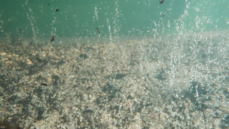 thin sprouts with bubbles and rocks on clear river bottom