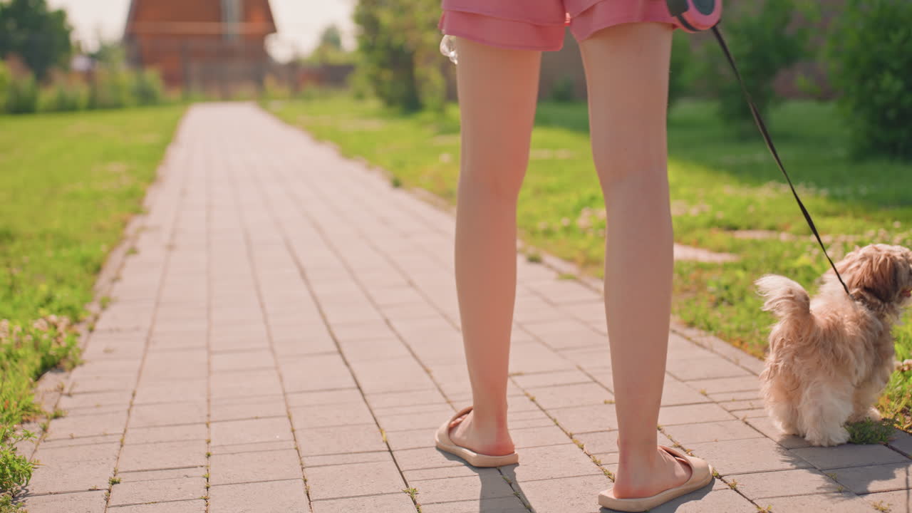 Closeup Hand Holding Retractable Leash. Pink ErgonomicsFocused Handle Gripped In Owner Palm, Cord Extended Toward Small Dog On Sunlit Path, Thumb Near Button And Warm Suburban Pavement Visible