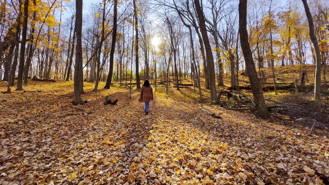 girl walking at a Beautiful forest autumn afternoon sunshine Minnesota