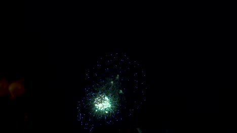 Incredible-fireworks-display-against-dark-night-sky-with-peoples'-silhouettes