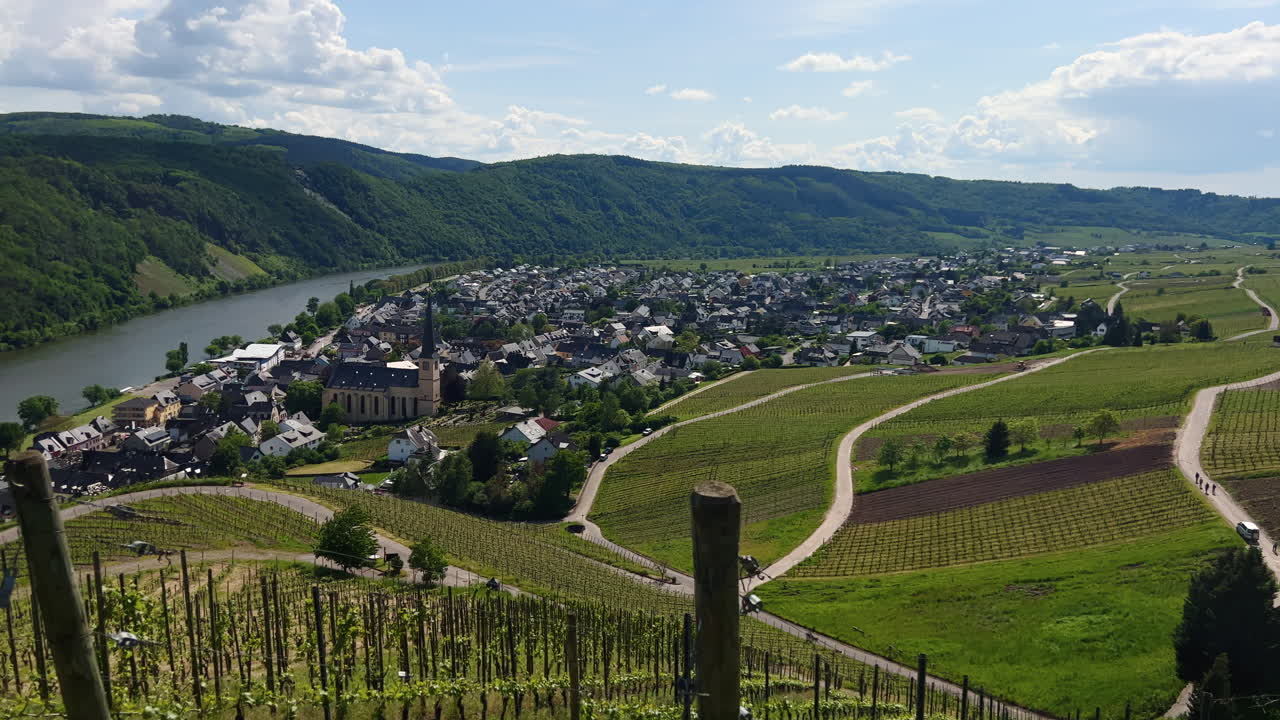 Pan over the Mosel Valley in Kr&ouml;v with vineyards, on a sunny summer day