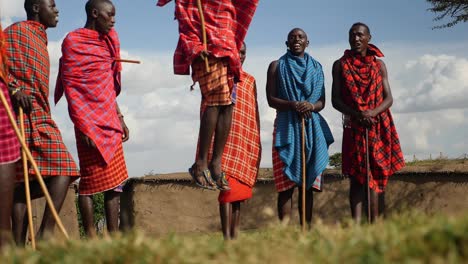 maasai tribal warriors area fine sight  to watch as they perform their jumping dance in front of their village in masai mara , kenya