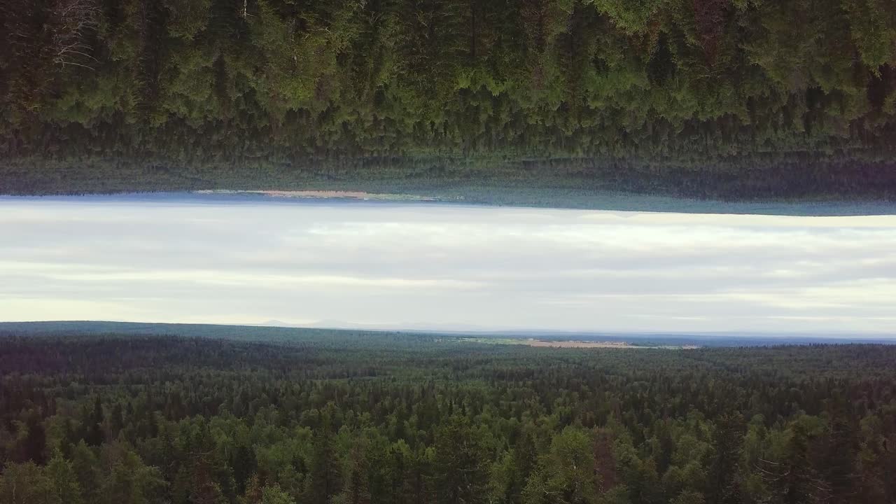 Inverted Forest Landscape