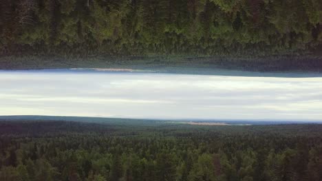 paisaje forestal invertido