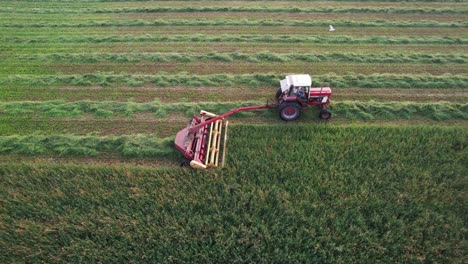 Using-a-hyrdoswing-swather,-a-Wisconsin-farmer-cuts-a-field-of-alfalfa-and-grass