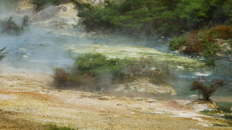 Toma-Panorámica-Del-Río-Del-Lago-Natural-Hirviendo-En-El-Parque-Nacional-De-Waimangu-Durante-La-Luz-Del-Sol---Vapor-Que-Sube-Del-Agua-Caliente---Viaje-A-Nueva-Zelanda