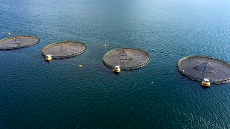 aerial footage farm salmon fishing in norway