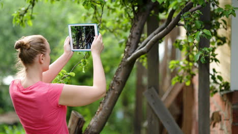 Junge-Frau-Fotografiert-Naturszenen-Mit-Ihrem-Pad