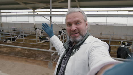 pov of male veterinarian at cattle farm