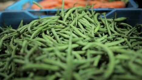green beans vegitable lot in market fresh