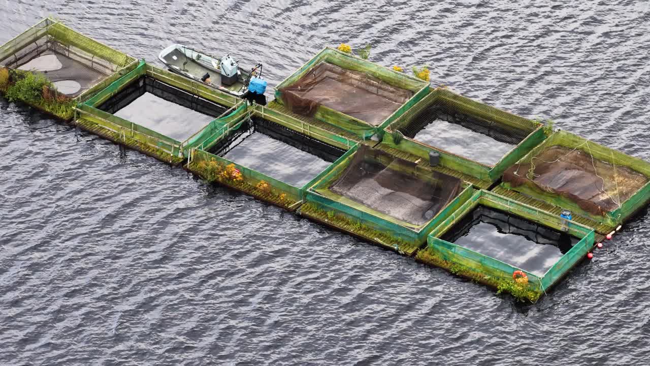 Aerial footage tracks floating fish cages and net pens with a small boat on a rippling reservoir, under diffuse daylight, with steady camera movement