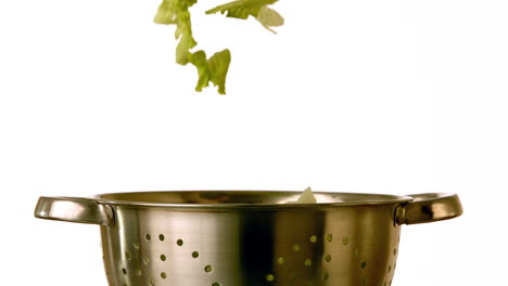 lettuce falling into colander on white background