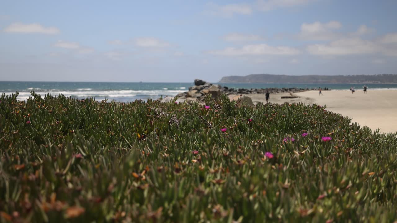пляж острова коронадо и океанский кинематографический вид с гуляющими людьми на заднем плане в сан-диего, калифорния