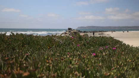 Coronado-Island-beach-and-ocean-cinematic-views-with-people-walking-in-the-background-in-San-Diego,-California