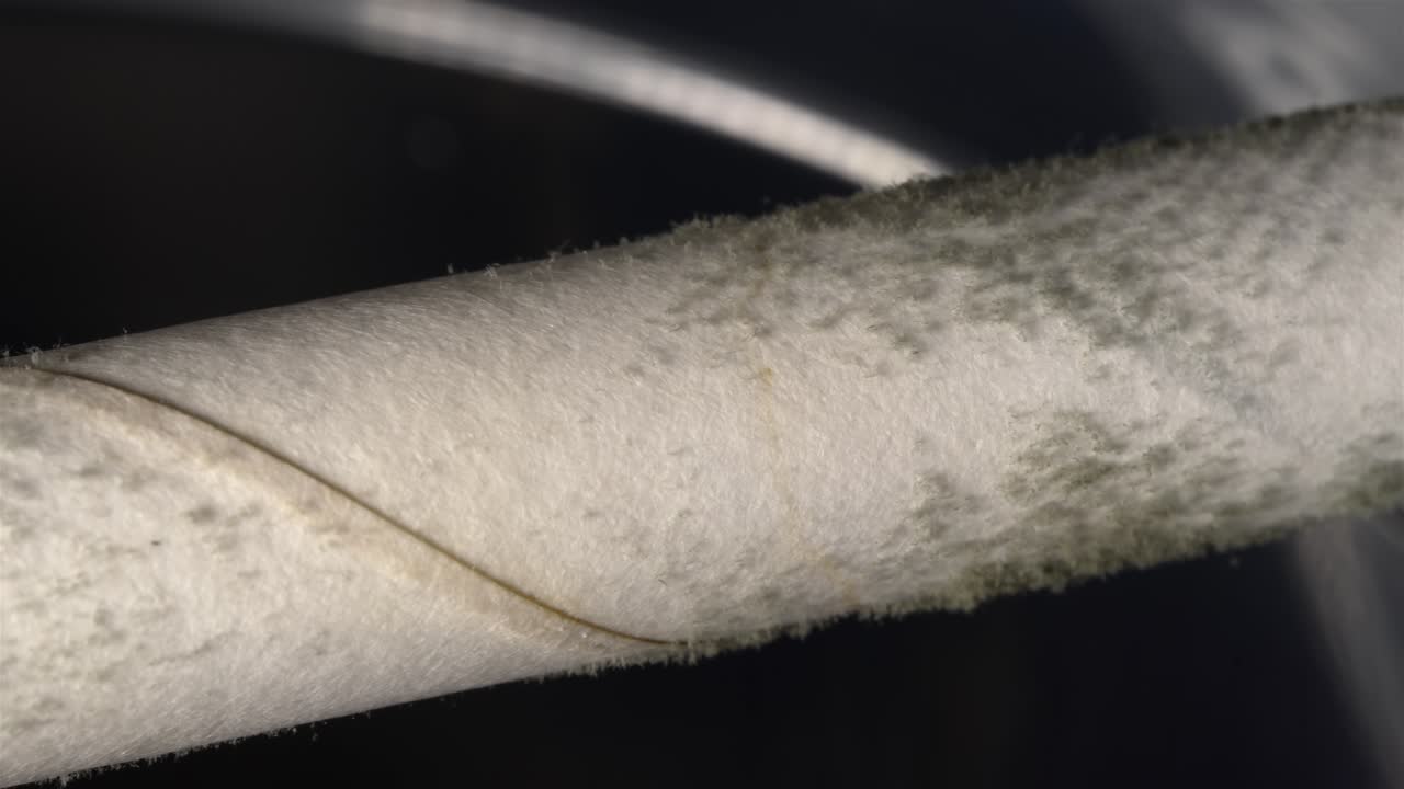 A detailed macro close-up of mold growing on a paper straw, highlighting the fungal growth.