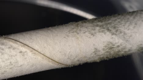 a detailed macro close-up of mold growing on a paper straw, highlighting the fungal growth.