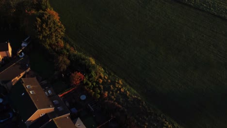 Vista-Aérea-De-Viviendas-De-Barrio-Británico-Mirando-Hacia-Abajo-Sobre-Los-Tejados-De-Las-Casas-De-Colores-Otoñales-Del-Amanecer-Temprano-En-La-Mañana