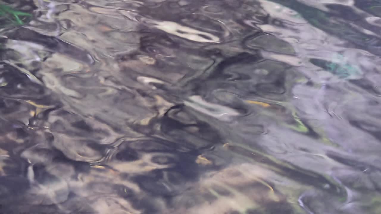 A close-up of reflections on a forest stream