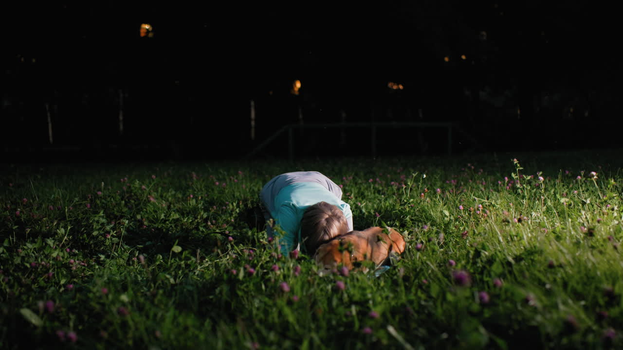 Trainer teaching puppy to lie down on green grassy field during outdoor evening session, bonding through gentle hand gestures and encouragement in peaceful nature park surrounded by flowers