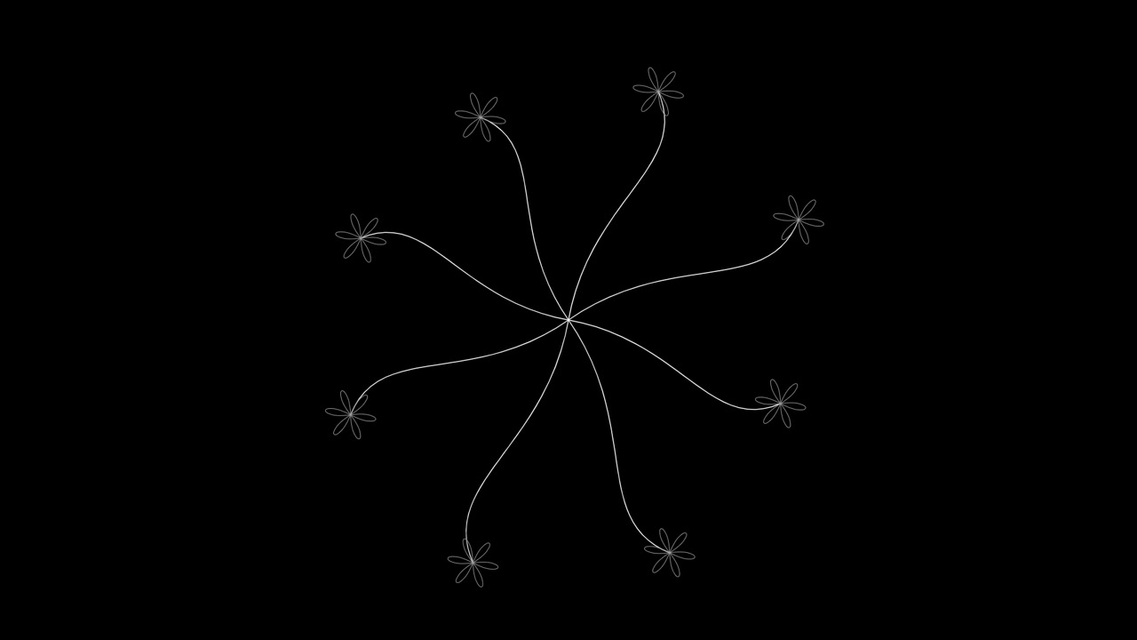 Minimalist Animated Floral Line Art Graphic on Black Background