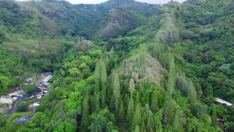 Luftaufnahme-Des-üppigen-Grüns-An-Den-Berghängen-In-Der-Nähe-Von-Honolulu,-Hawaii,-Mit-Kleinen-Gemeinden-Im-Tal-Auf-Der-Insel-Oahu